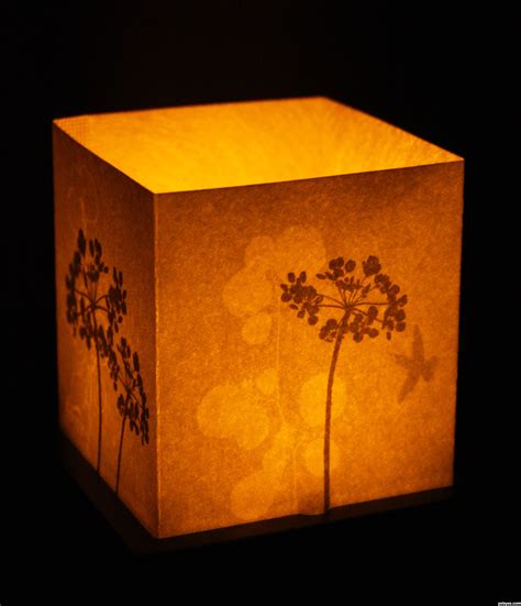 A candle flickers picture, by MnMCarta for: night lights photography ...