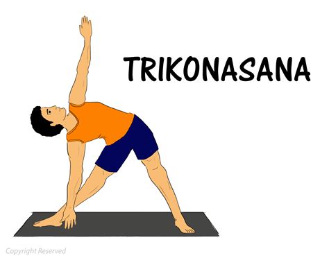 Discover the Art of Trikonasana: A Comprehensive Guide to Triangle Pose ...