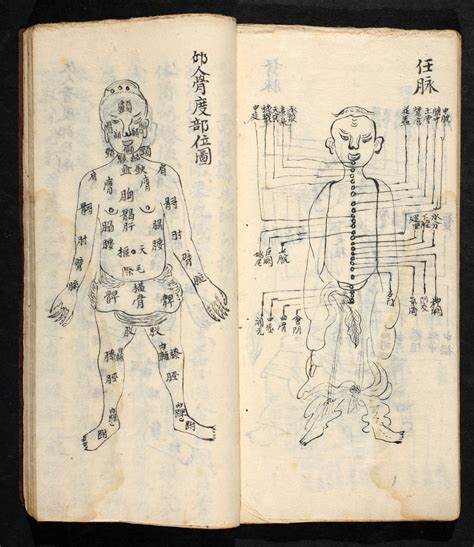 Acupuncture points along the central line of the body, from Jing Guan ...