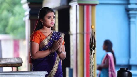 Watch Sembaruthi TV Serial 19th July 2019 Full Episode 534 Online on ZEE5