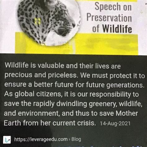 imagine you are Mack you suddenly understand what ivan has going ...