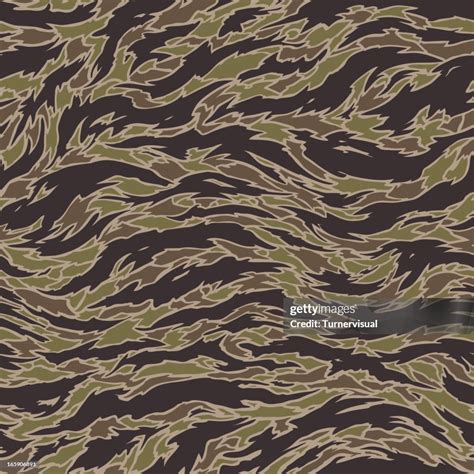 Tiger Stripe Camouflage Seamless Tile High-Res Vector Graphic - Getty ...