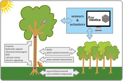 Image result for Example of Biological Process