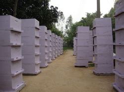 Honey and Honey Bee Products, Bulk Honey, Bottle Jar and Packed Honey ...