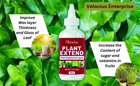 Velocius Enterprise Plant Extend Liquid Plant Growth Supplement, Ready ...