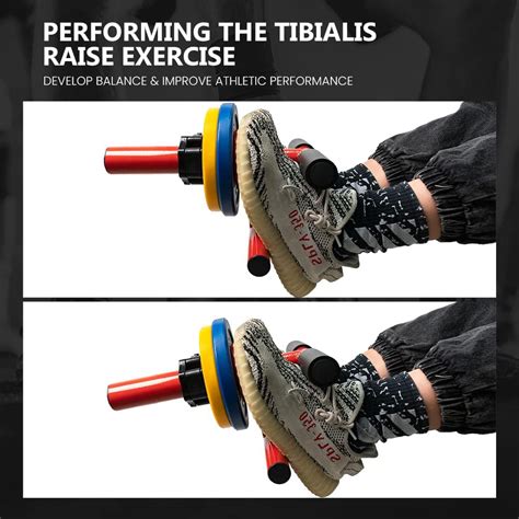 Buy SPART Tib Bar, Tibialis Anterior Exercise Equipment Tibia Dorsi ...