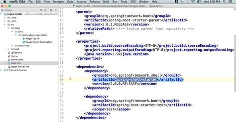 Image result for Spring Shell Java