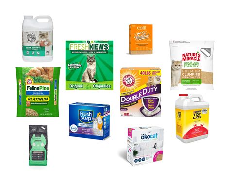 What are the best brands of cat litter? | The Cat Litter Expert
