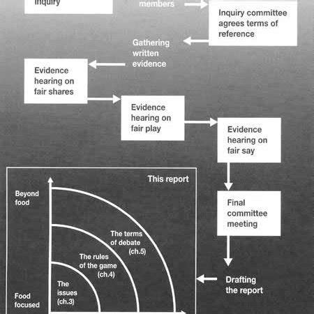 Inquiry Process 的图像结果
