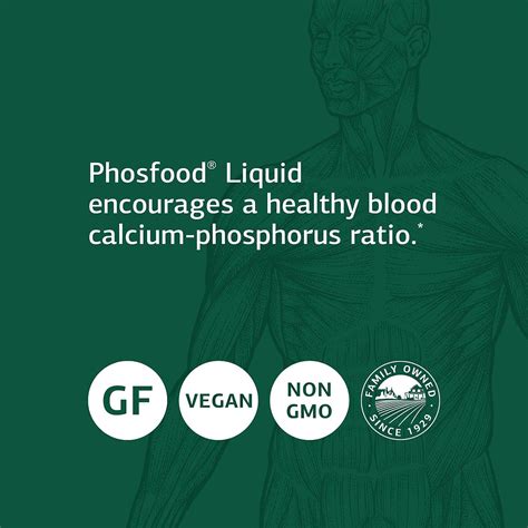 Standard Process Phosfood Liquid Bone Health Phosphorus Supplement (2 ...