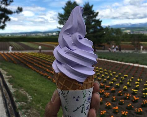 Forget France, Japan Has The Dreamiest Lavender Fields You Need To See