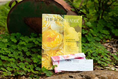 Rose Gift Redemption Code 的图像结果