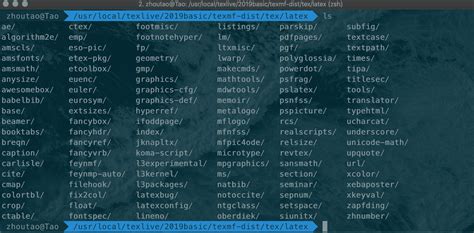 Latex Editing Tips VSCode 的图像结果