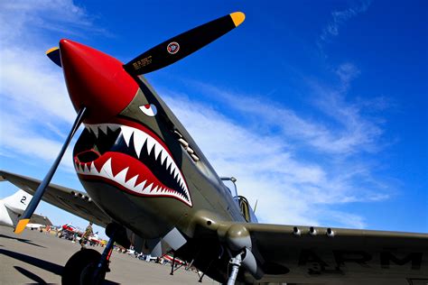 Plane Crazy Shark Tutorial 的图像结果