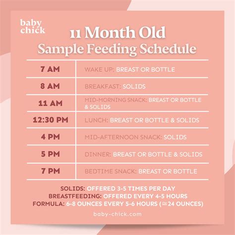 11-Month-Old Baby: Feeding, Sleep, and Milestones by Month - Baby Chick