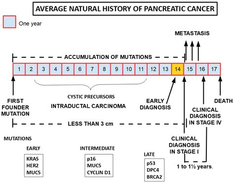 Pancreatic Cancer Genetic Markers at Justin Bee blog