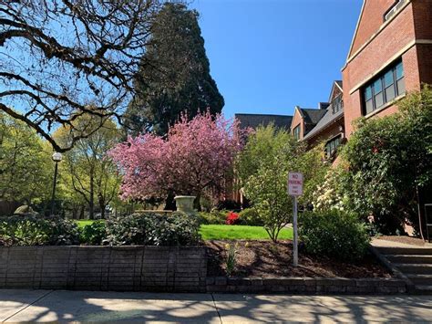 Western Oregon University : Admission, Ranking, Acceptance Rate ...