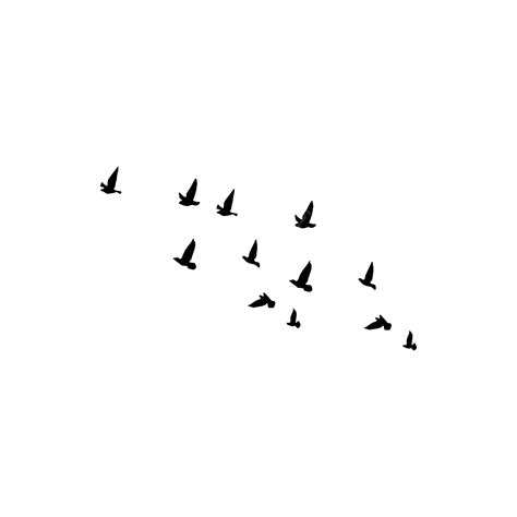 Multiple Flying Birds Silhouette, Silhouette, Bird, Flying Bird Silhouette PNG and Vector with ...