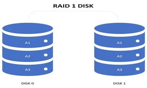 Server Raid Configuration IT / Technology Services from Noida