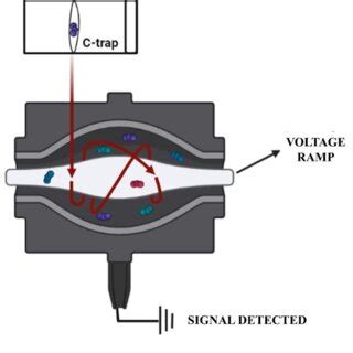 Image result for Orbitrap Detector