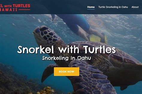 OAHU TURTLE SNORKELING - All You Need to Know BEFORE You Go (with ...