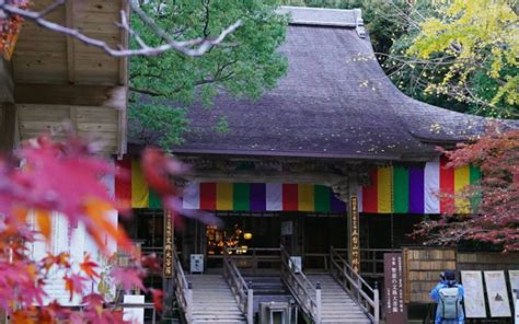 慢遊四國高知2／追隨高僧足跡訪古寺 沿海岸線與龍馬相遇、朝聖海上鳥居 | LINE購物