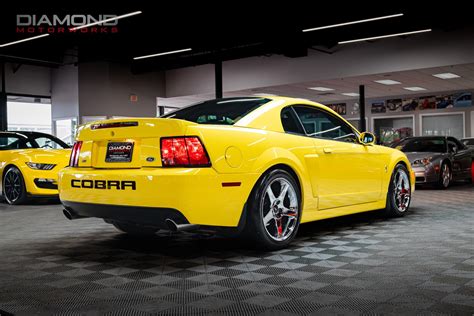 For Sale Mustang Cobra Terminator at Lara Roberts blog