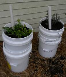 5 Gallon Container Gardening by Self Watering Garden Containers 5 Gallon Buckets Upated 5 Gallon Container Gardening