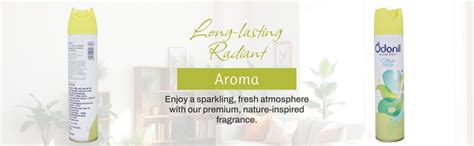 Odonil Citrus Fresh Room Freshener Spray (270ml) : Amazon.in: Home ...