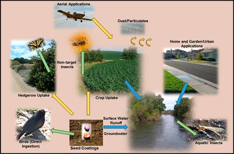 Harmful Effects Of Pesticides On Environment