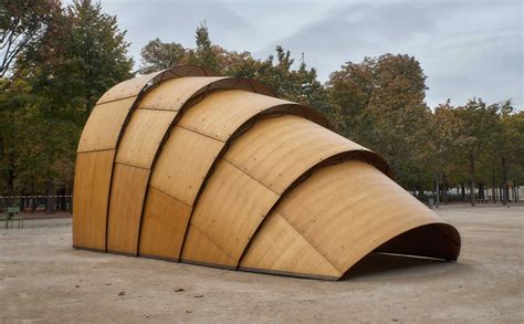 Image result for Natural Shell Structures