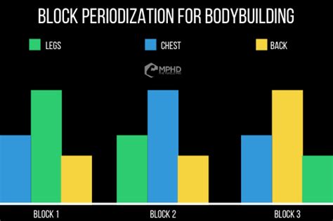 Bodybuilding Periodization Program 的图像结果