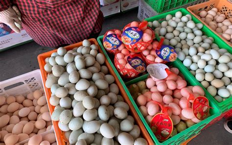 鸡蛋价格基本稳定 预计将开始季节性回落|回落_新浪新闻