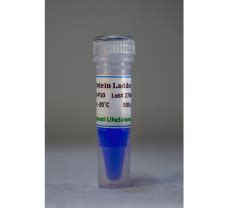Find Protein Ladder & Markers in India | Biomall.in