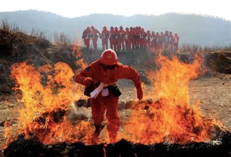 凉山木里发生森林火灾 60余名村民通宵奋战将火扑灭|防火|村民|杜基_新浪新闻
