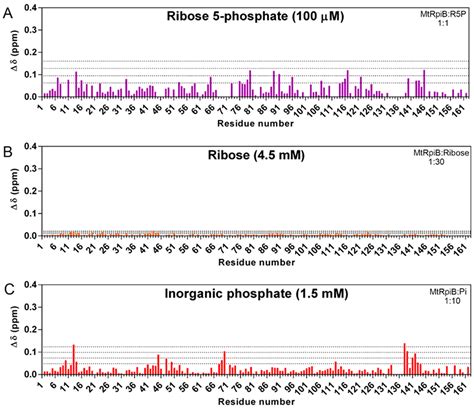 Insights into the Substrate Uptake Mechanism of Mycobacterium ...
