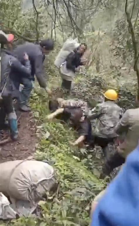 村民挖笋时与山林承包方起冲突致多人受伤，警方已介入-荆楚网-湖北日报网