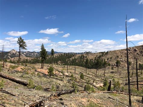 Buffalo Creek Recreation Area Camping | The Dyrt