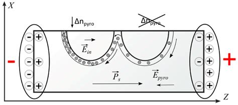 “Shutdown” of the Proton Exchange Channel Waveguide in the Phase ...