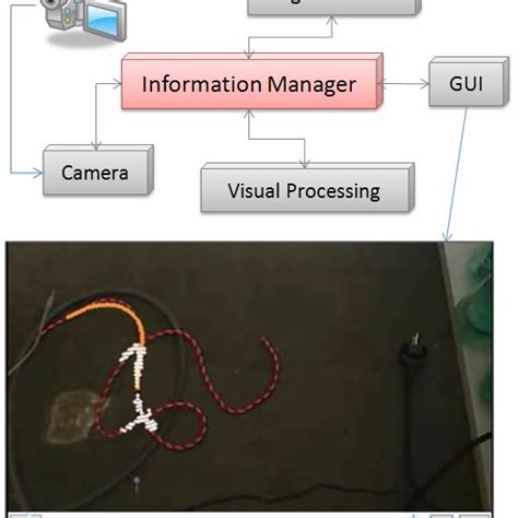 Image result for Parallel Processing Visual System