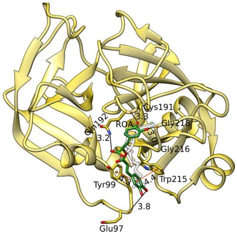 Mechanistic Insights of Polyphenolic Compounds from Rosemary Bound to ...