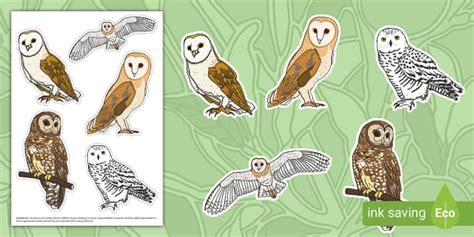 Owl Clip Art Cut-Outs
