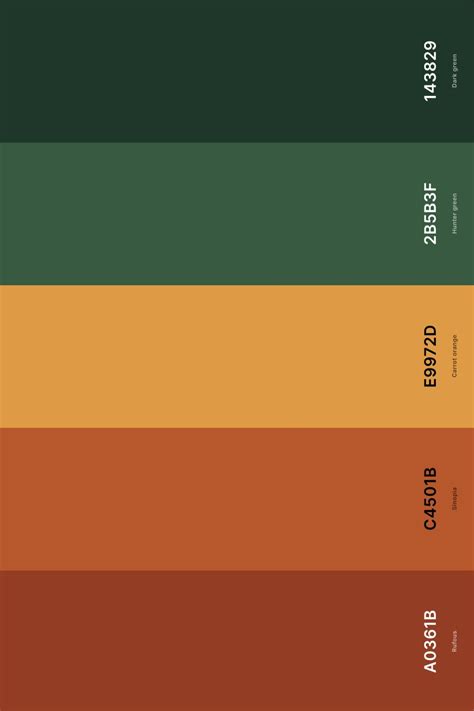 25 best orange color palettes with names and hex codes – Artofit