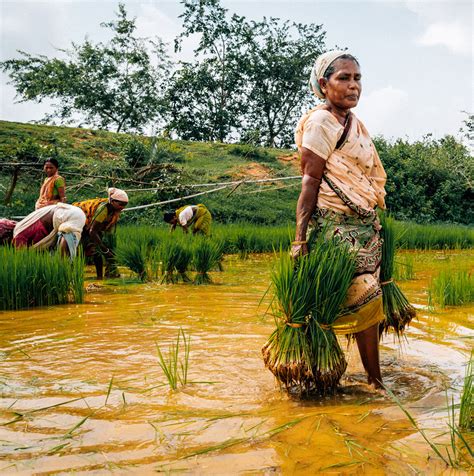 SPPD - Society For Poor People Development