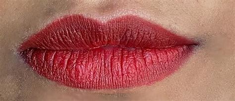 Buy Wet n Wild Lip Liner Pencil Color Icon Lip Color Makeup, Dark Brown ...