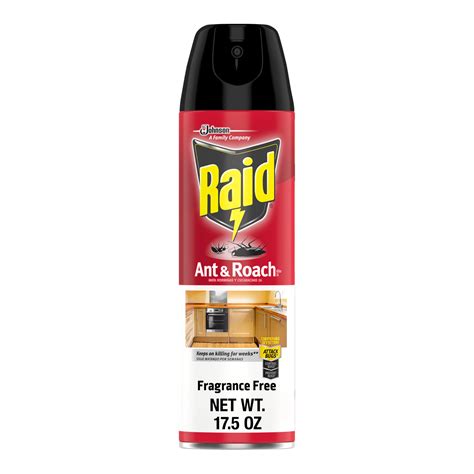 Raid Ant & Roach Killer Insecticide Spray-Fragrance Free - 17.5 oz ...
