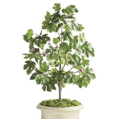 4-ft. Outdoor Fig Tree & UV Treated, Handcrafted, Maintenance-Free Decor