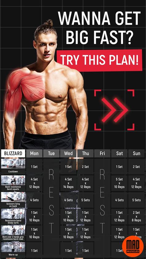 gym workout gain muscle