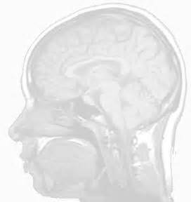 Home Page of Rahul Garg