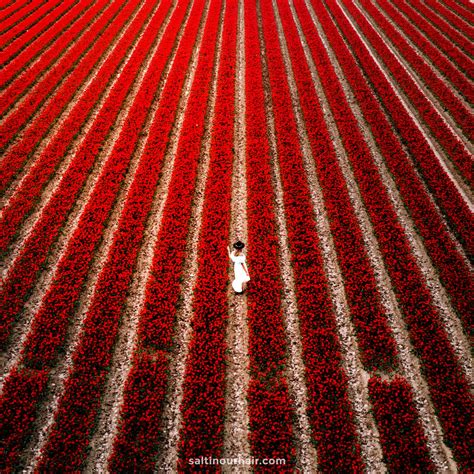 Quotes About Adventure 的图像结果